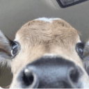 (tttimrek) oooooom avatar